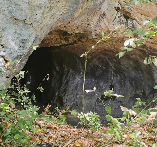 Plateau des Charmilles - Aymeric - 1