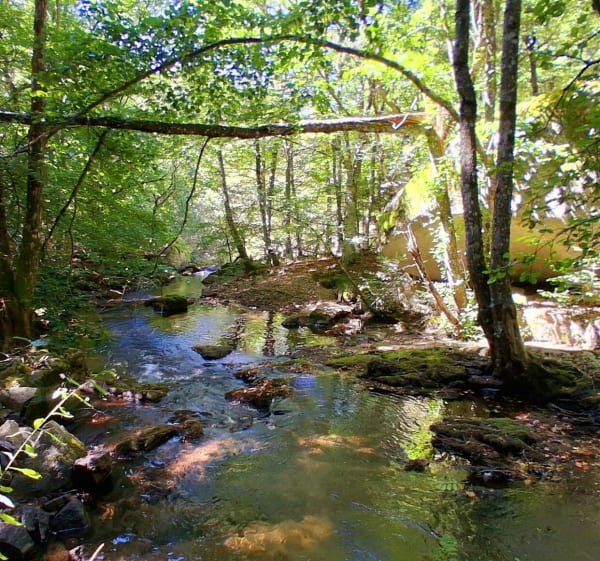 Gorges du Bramont - Saint-Étienne-du-Valdonnez - 1