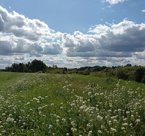 Nadwarciański Park Krajobrazowy - Agnieszka - 1