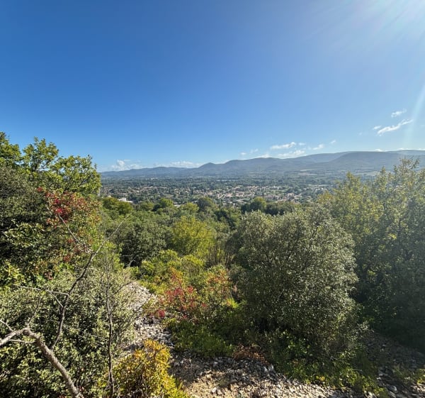 Au-dessus de Cruas depuis le château - Caroline - 1