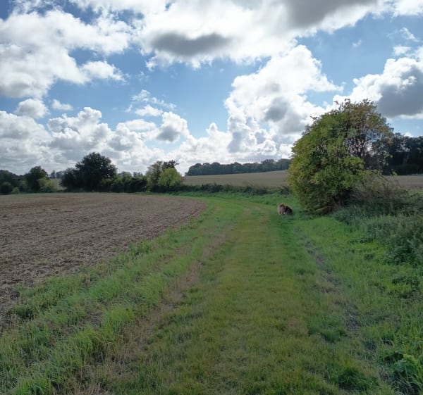 De Belloy-en-France à la ferme du Trianon - Laurence - 1