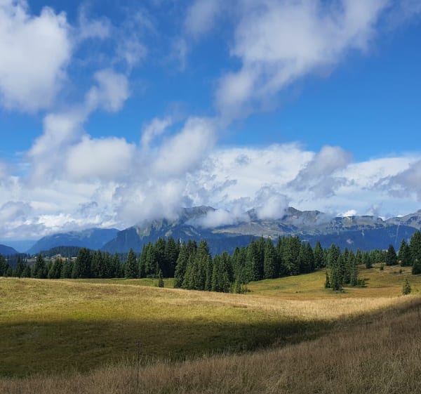 Les chavannes des Gets - Paul - 1