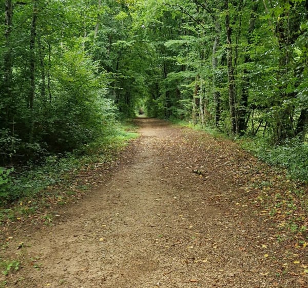 Plateau des  Rays Frouard/ Parc de Haie. - Christel - 1