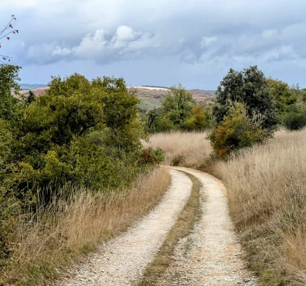 Sur les hauteurs de Souillac - Thomas - 1