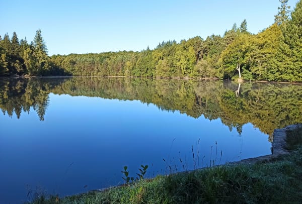 Forêt et étang du Chatenêt - Estelle  - 1