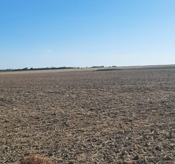 Balade à travers les champs au départ de Auchy - Mickael - 1