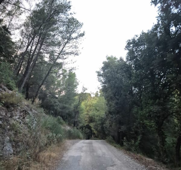 Marche au crépuscule vers la tour Faucon - Mickaël - 1