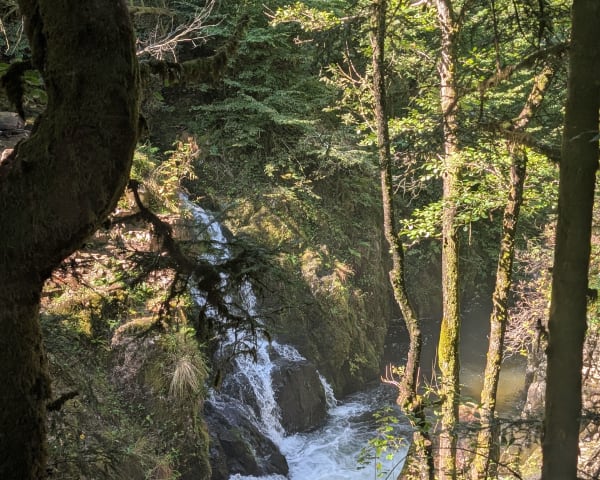 Boucle de la cascade de la Doue de l'Eau et du Saut de l'Ognon - patrick - 1