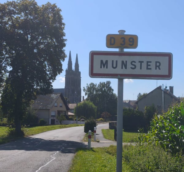 Munster de Berig Vintrange à travers champs, routes et forêt - Sophie - 1