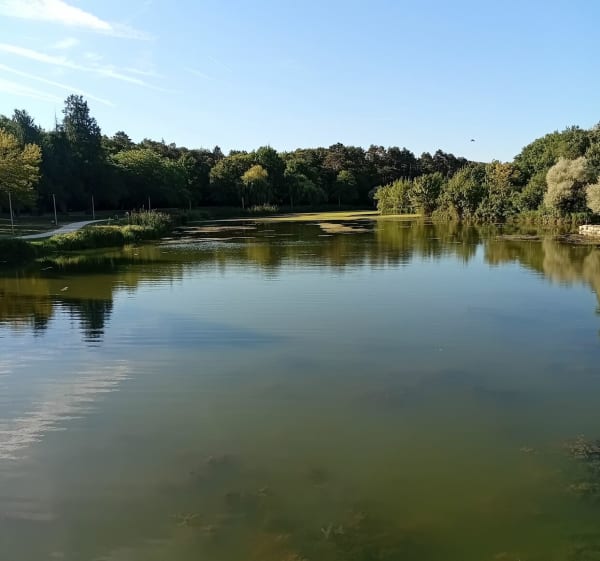 La Touraine, au fil de l'eau, des chemins et du patrimoine - Thomas - 1