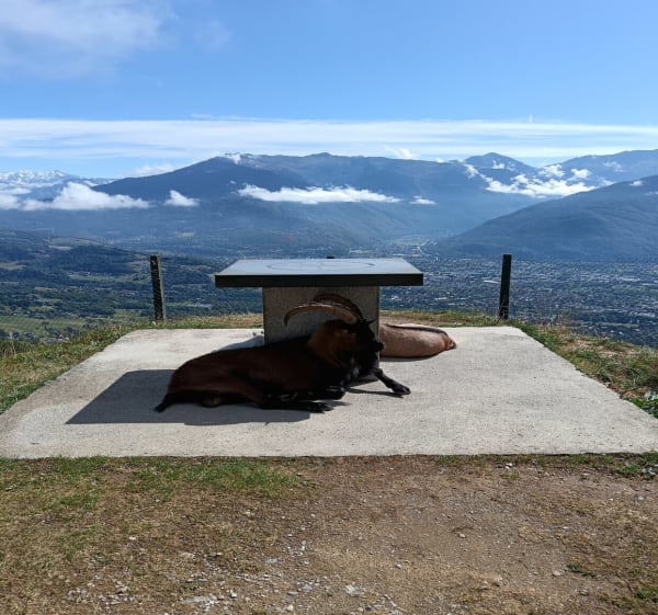 Balade au Fort de Tiamé et Panoramique - HELENE - 1
