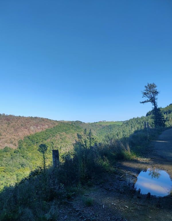 Sortie dans Les bois Dieux - clément - 1
