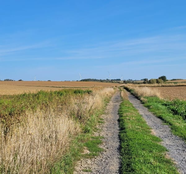 Chemin des Éoliennes entre Busigny et Honnechy - Laëtitia - 1