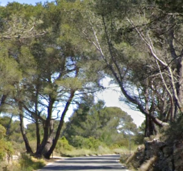 Balade entre route de Saint-Mitre et route des Métairies - Maxime - 1