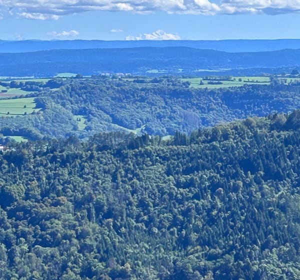 Mont Poupet - Franck - 1