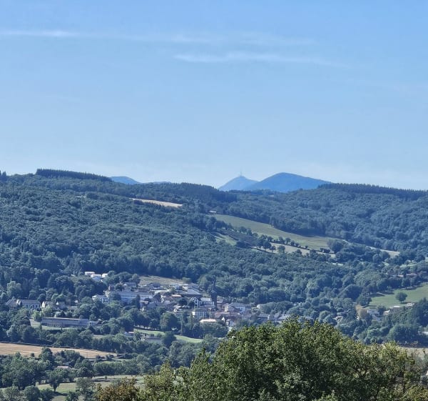 Montcel - Saint-Angel - vincent - 1