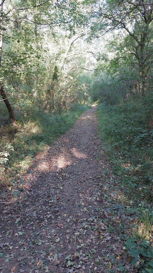 Le Gué-d'Alleré / Courçon par la forêt de Benon en VTT - Sebastien - 1