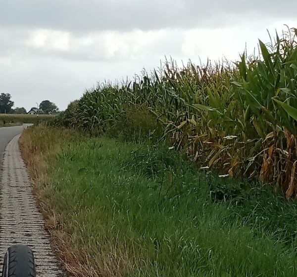 Zaterdag i Apeldoorn - Margo - 1