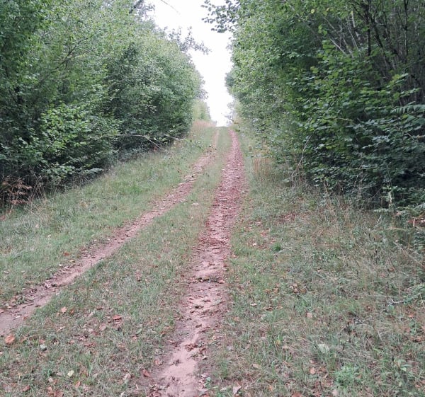 Autour d'Agris par la Grande Combe - Cecile - 1