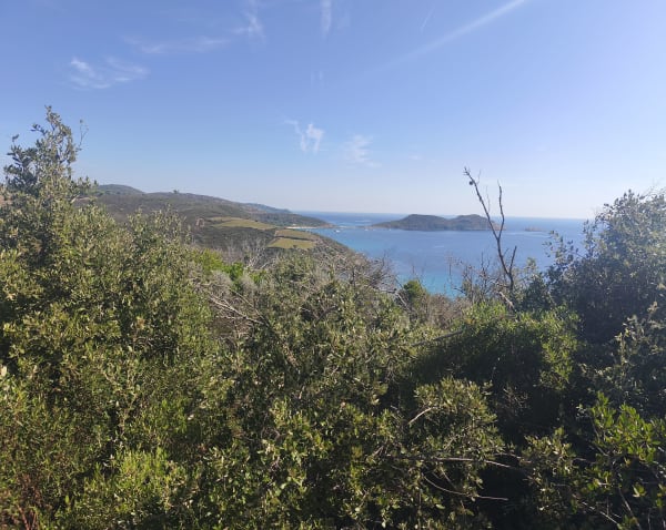 Réserve du Cap Lardier et splendeurs méditerranéennes - Laurent - 1