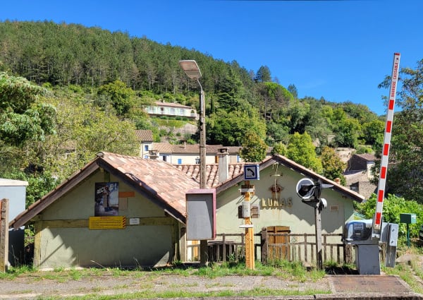 Au-dessus de la vallée de Gravezon et flore locale - Kiki - 1
