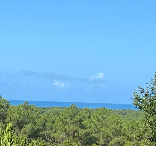 Balade en aller-retour depuis Biscarrosse-Plage - SYLVIE - 1