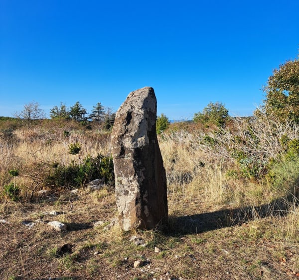 Menhir de Peyregrosse - Saint-Laurent-sous-Coiron - 1