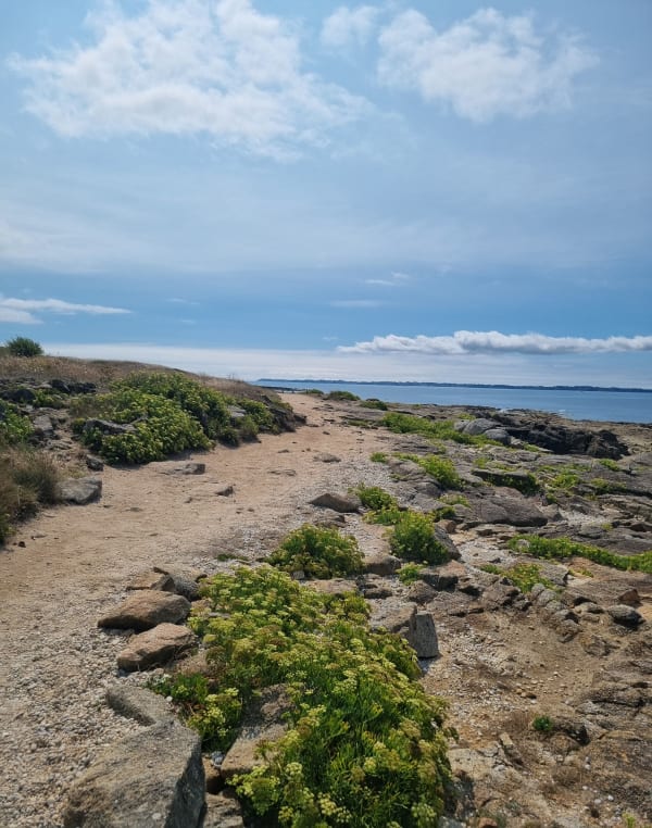 Rondleiding over het eiland Groix en wilde baaien - Patricia - 1