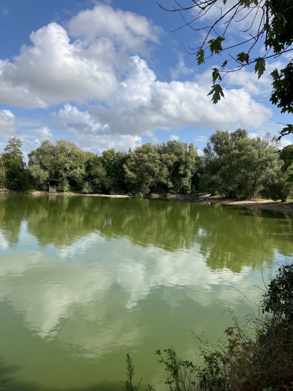 Grand étang et ancienne voie romaine à VTT - ISABELLE - 1