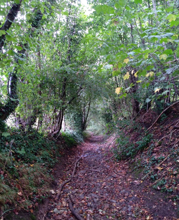 Pont-d'Ouilly : par monts et parcours top en Suisse normande - Nicole - 1