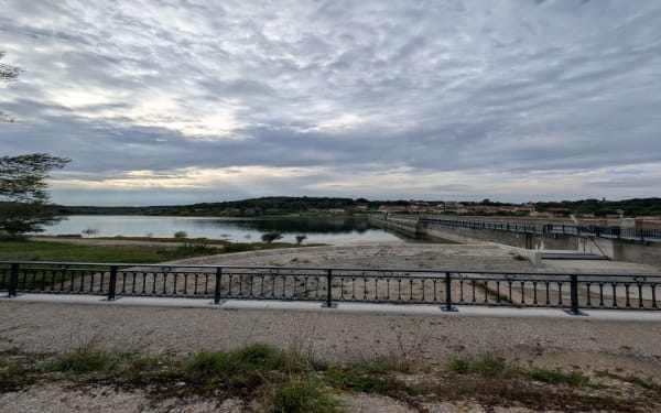 Tour du Lac de la Mouche et vie aquatique - Probst - 1