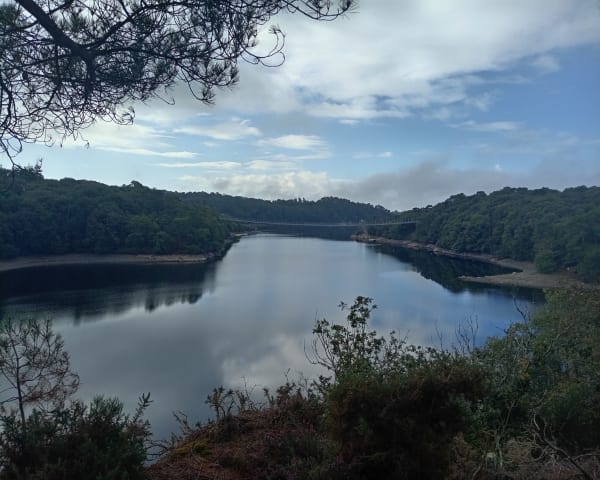 Petit tour du bois de Caurel - Vincent - 1