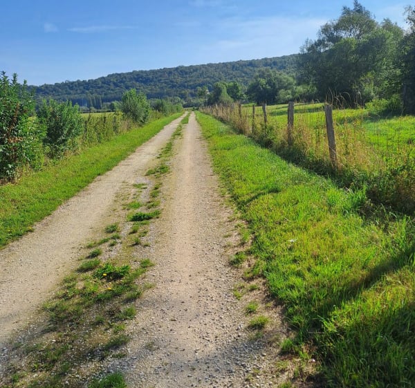 Balade en nature depuis Ourches-sur-Meuse - Hervé - 1
