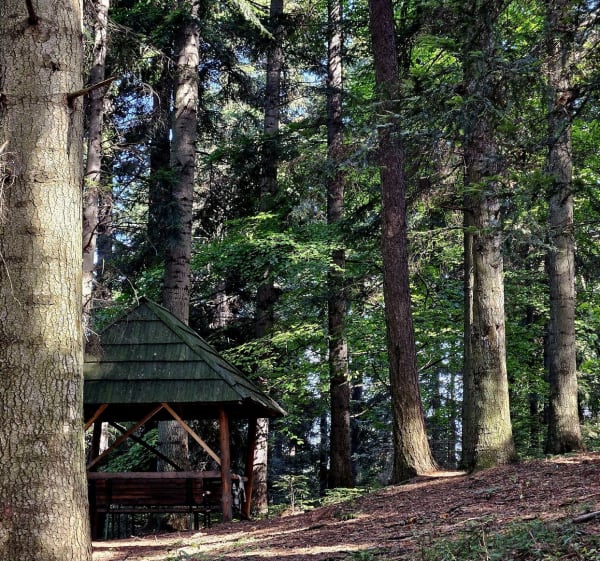 Spacer po Lanckoronie - Lanckorona - 1