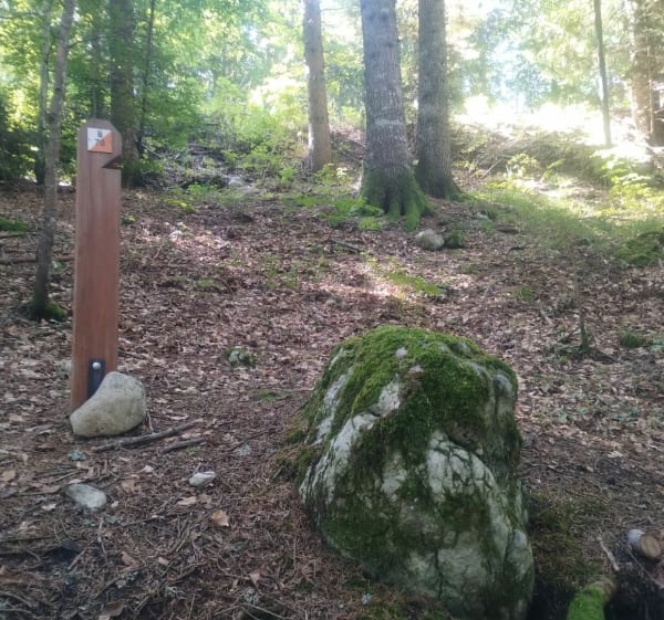 Course d'orientation à Villard-de-Lans - Villard-de-Lans - 1