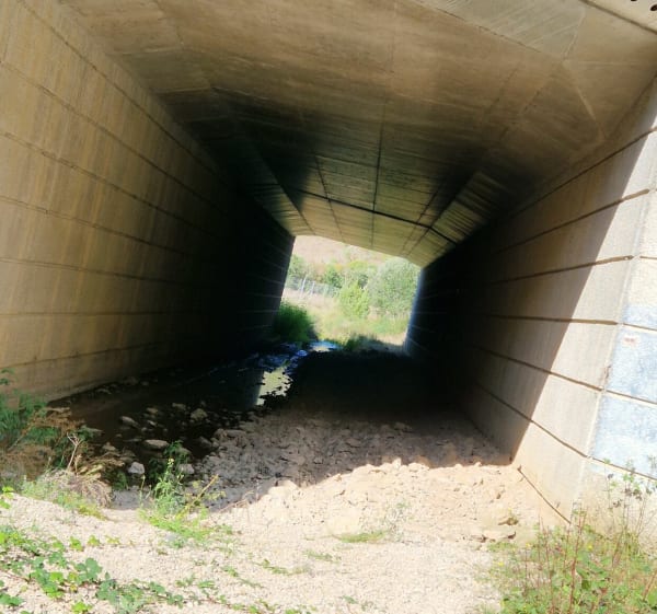 Balade entre Saint-Cirice, les Ramonets et Vayrols - Sophie - 1