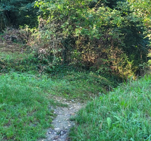 Balade autour de Bressolles. - Bressolles - 1