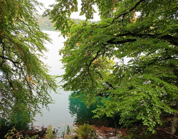 Lac Pavin - Fred - 1