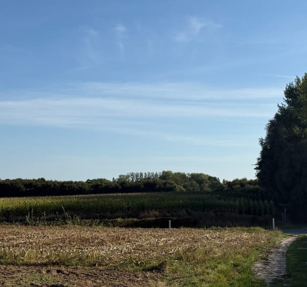 Depuis le château d’Equirre - Stéphane - 1