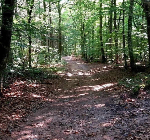 Rando à Uchon - Uchon - 1