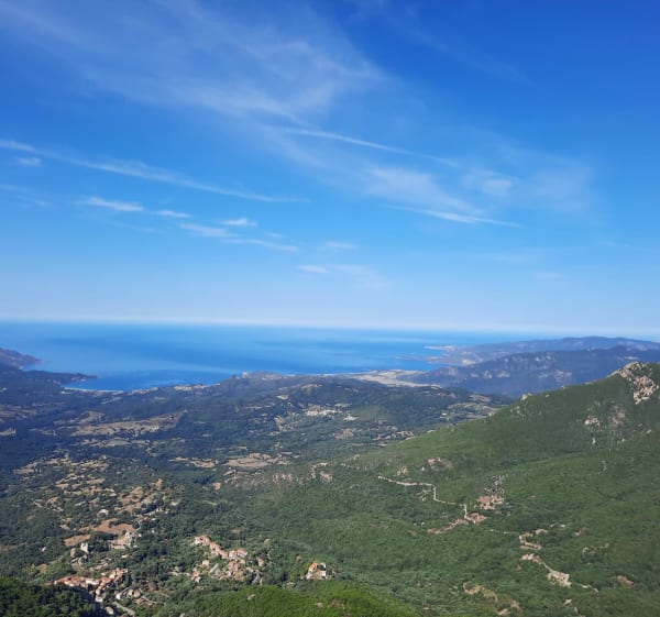 Punta san damiano - Sari-d'Orcino - 1