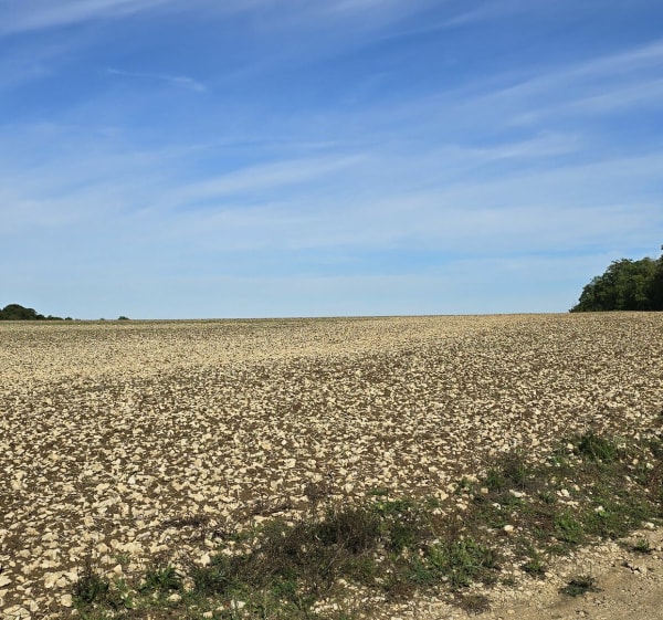 Boucle Nord Est de  Ligny-en-Barrois - Franck  - 1