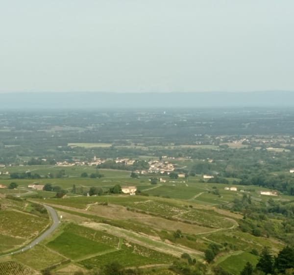 Des cimes de Chiroubles au fûts d'Avenas - Frédéric - 1
