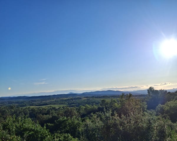 Domessargues, sortie boisée et plongée dans les vignes - Olivier - 1