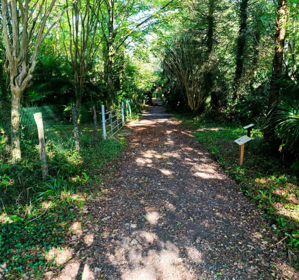 Balade à Lons et forêt avec nouvel espace jeux - Lons - 1