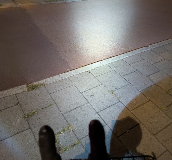 Schiedam naar Leyenburg - Björn - 1