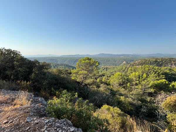 Vue des hauteurs du Caramy et immersion en nature sauvage - alexandra - 1