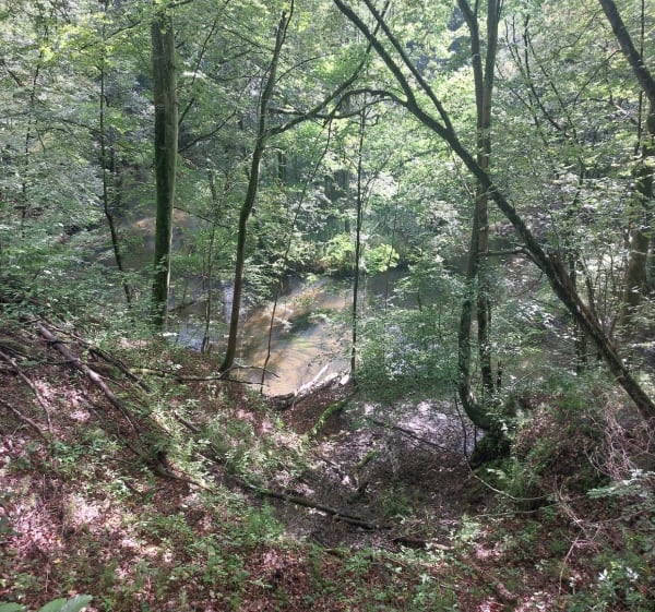 Wzdłuż rzeki - Krzysztof - 1