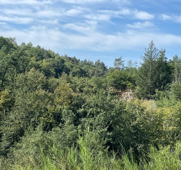 Le gourdaloup - Saint-Cirgues-la-Loutre - 1