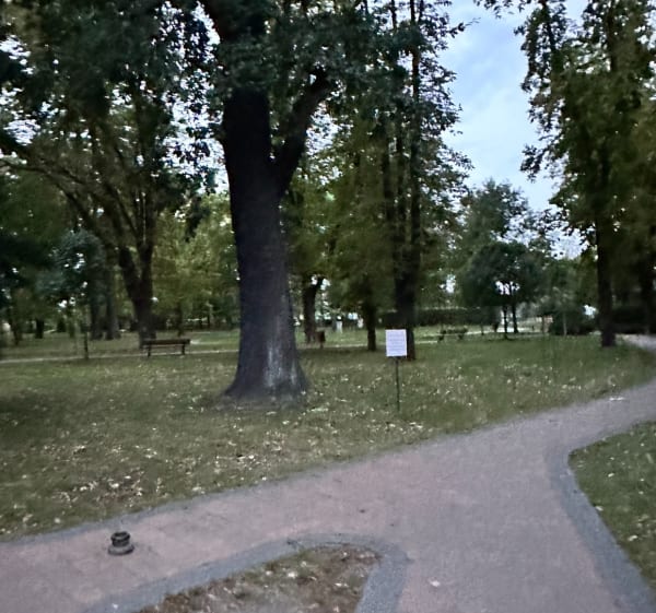 Spacer po Bojkowie - Gliwice - 1